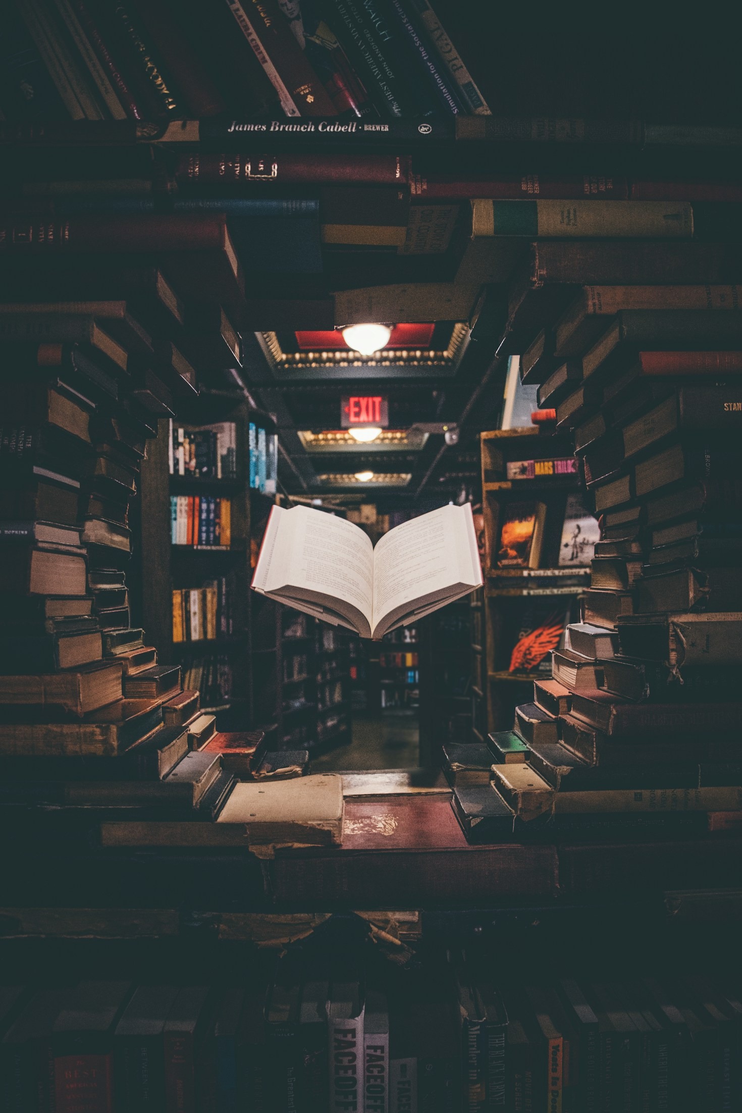 The Power of Visual Storytelling